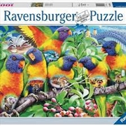 Buy Land Of The Lorikeet 1000pc Puzzle