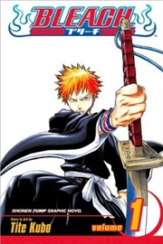 Buy Bleach, Vol. 1