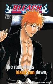 Buy Bleach SOULs. Official Character Book