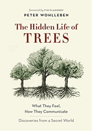 Buy The Hidden Life of Trees