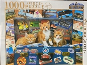 Buy Kittens In Suitcase Comical Animals 1000 Piece Puzzle