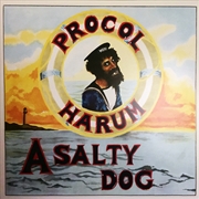 Buy Salty Dog