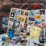 Buy White Water White Bloom