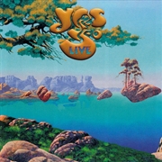 Buy Yes 50 Live