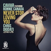 Buy Never Stop Loving You (Chris Diodati Remixes)