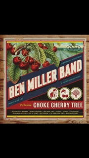 Buy Choke Cherry Tree