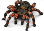 Buy Schleich-Tarantula