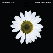 Buy Black Daisy Wheel