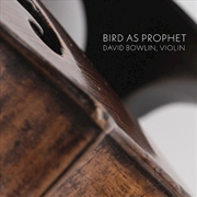 Buy Bird As Prophet