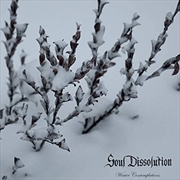 Buy Winter Contemplations