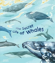 Buy The Secret Life of Whales