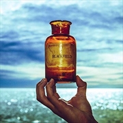 Buy Blackfield V