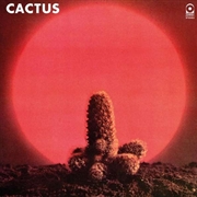 Buy Cactus