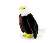 Buy Bald Eagle