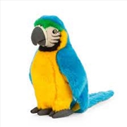 Buy Blue Macaw 24cm