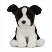 Buy Border Collie Puppy 16cm