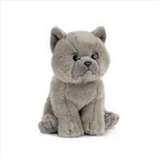 Buy British Grey Sh Kitten 16cm