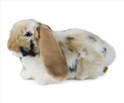 Buy Brown Dutch Lop Ear 30cm