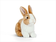 Buy Brown Pet Rabbit 18cm