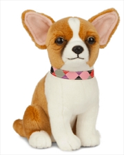 Buy Chihuahua 20cm