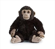 Buy Chimp 30cm