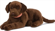 Buy Chocolate Labrador Puppy 60cm