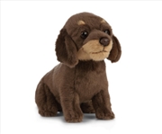 Buy Dachshund Puppy 16cm