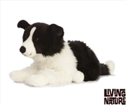 Buy Giant Border Collie 60cm