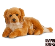 Buy Giant Golden Retriever 60cm