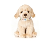 Buy Golden Labrador Puppy 24cm