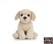 Buy Golden Retriever Puppy 16cm