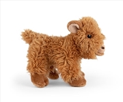 Buy Highland Cow Calf