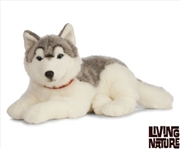 Buy Husky Dog 60cm