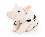 Buy Juliana Piglet