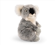 Buy Koala