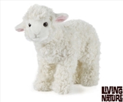 Buy Lamb Large 30cm