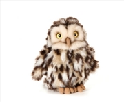 Buy Little Owl 16cm