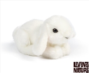 Buy Lop Eared Bunny Small 16cm