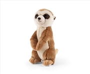 Buy Meerkat