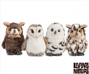 Buy Owls 4 Assorted 13cm