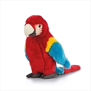 Buy Red Macaw 24cm