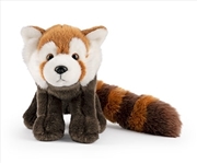 Buy Red Panda