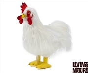 Buy Rooster Large 35cm