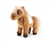 Buy Shetland Pony