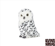 Buy Snowy Owl With Turning Head