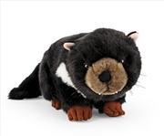 Buy Tasmanian Devil