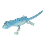 Buy Tokay Lizard 25cm