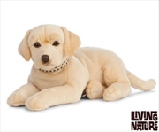 Buy Living Nature Giant Golden Labrador 60cm