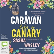 Buy A Caravan Like a Canary