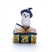 Buy Snowy Owl Book Trinket Box